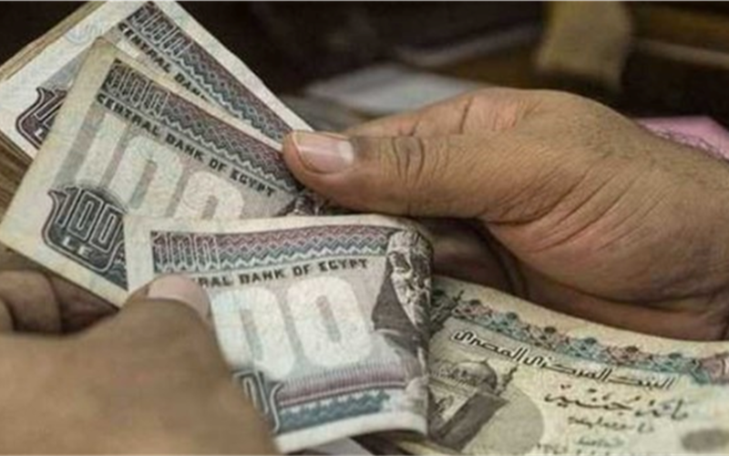 طرق الاستعلام عن الرقم التأميني وقيمة المعاش عبر الموقع الرسمي قبل موعد الصرف